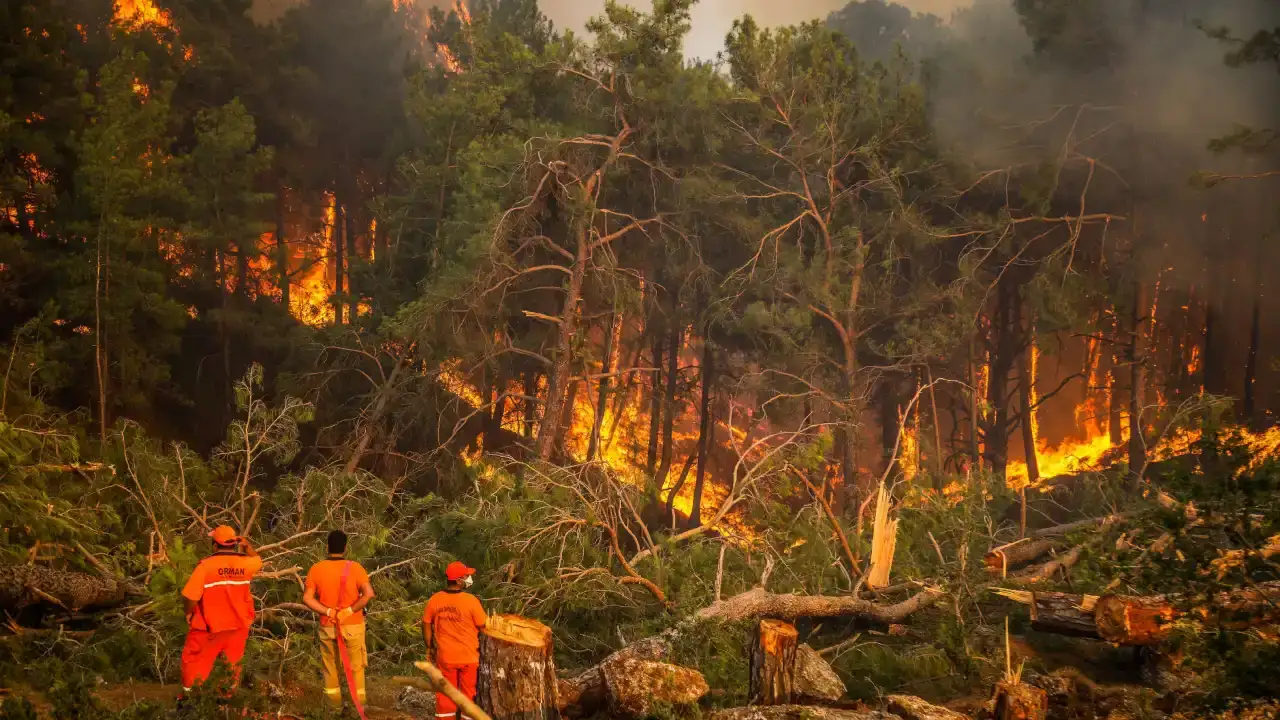 Antalya’nın Ormanları Tehdit Altında, Yangınlar Artıyor 2